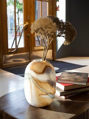 White studio AS photo