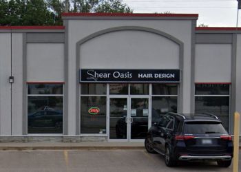 Shear Oasis Hair Design photo