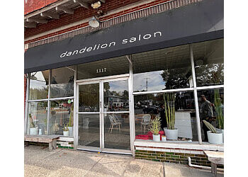 Dandelion Salon photo
