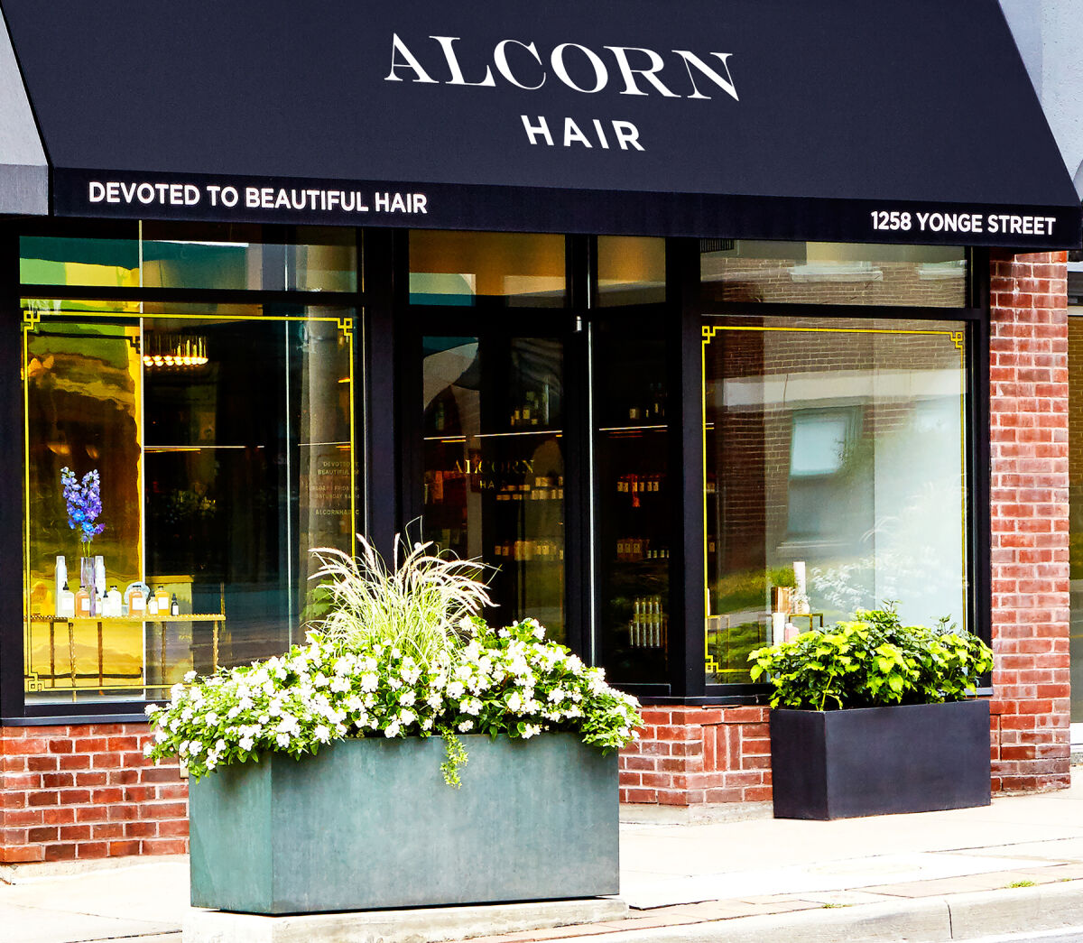 Alcorn Hair